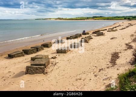 Parzialmente sepolto cemento guerra mondiale due barricate anticarro rimangono in atto per oltre settantacinque anni a Alnmouth Beach nel Northumberland, Inghilterra Foto Stock