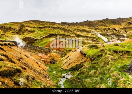 Colline e ruscelli fumanti nel Parco Geotermico di Hveragerdi, Islanda Foto Stock