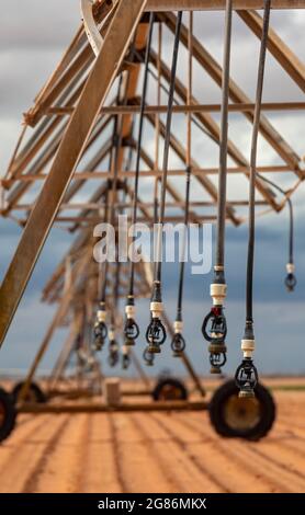 Plains, Texas - Centro-pivot irrigazione attrezzature su una fattoria del Texas occidentale. Foto Stock