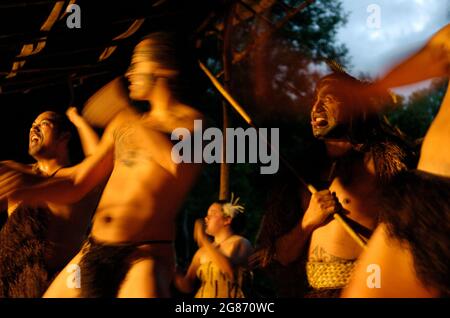 Guerriero indigeno Maori che esegue una danza tradizionale di haka, Rotorua, Isola del Nord, Nuova Zelanda, tradizioni culturali Foto Stock