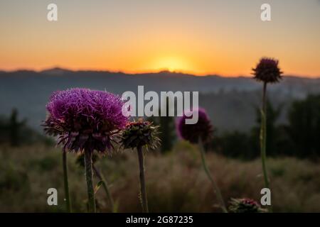 Alba in Appalachia centrale. Foto Stock