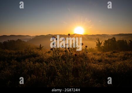 Alba in Appalachia centrale. Foto Stock