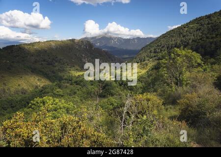 Cadi Range visto da Cerdanya, Pirenei catalani Foto Stock