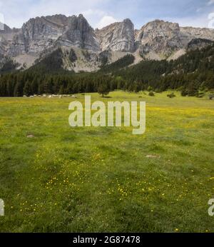 Prat de Cadi nella catena dei Pirenei, Cerdanya, Catalogna Foto Stock