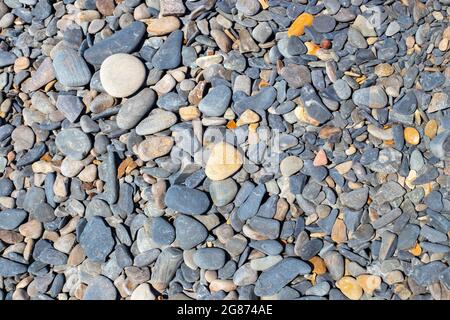 Ciottoli di mare. Sfondo naturale da pietre piccole e grandi. Modello per il testo. Foto Stock