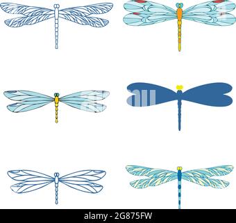 Set Dragonfly, illustrazione vettoriale, modello. Illustrazione Vettoriale