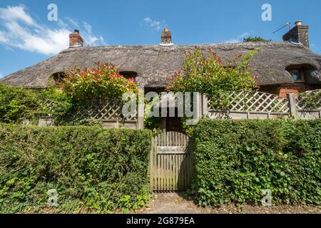 Attraente cottage di paglia del 17 ° secolo nel villaggio di Rotley, Hampshire, Inghilterra, Regno Unito. Foto Stock