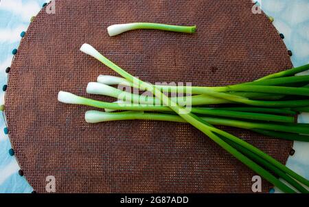 Le cipolle verdi fresche sono state raccolte, lavate e lette per mangiare. Questi sono visualizzati su un bel tappeto di sfondo marrone a contrasto. Foto Stock