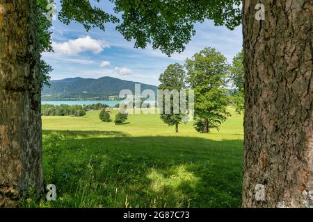 Vista incorniciata sul meraviglioso Tegernsee color turchese, un famoso punto di riferimento turistico nella baviera meridionale, è il momento di rilassarsi. Foto Stock