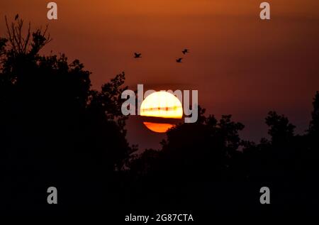 Srinaga, India. 17 luglio 2021. Il sole tramonta dopo una calda giornata estiva a Srinagar. (Foto di Saqib Majeed/SOPA Images/Sipa USA) Credit: Sipa USA/Alamy Live News Foto Stock