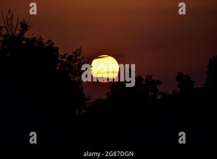 Srinaga, India. 17 luglio 2021. Il sole tramonta dopo una calda giornata estiva a Srinagar. (Immagine di credito: © Saqib Majeed/SOPA Images via ZUMA Press Wire) Foto Stock