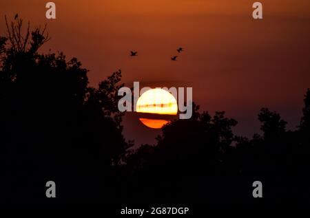 Srinaga, India. 17 luglio 2021. Il sole tramonta dopo una calda giornata estiva a Srinagar. (Immagine di credito: © Saqib Majeed/SOPA Images via ZUMA Press Wire) Foto Stock