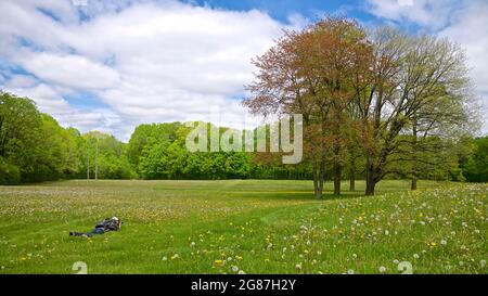 Retrovisione del fotografo che scatta una foto in una vista ad angolo basso Foto Stock