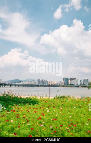 Yeouido Hangang River Park e il ponte Mapo Bridge e gli edifici moderni di Seoul, Corea Foto Stock