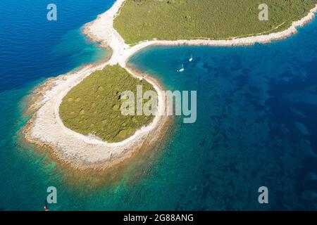 Costa rocciosa con pini su Dugi Otok, Croazia Foto Stock