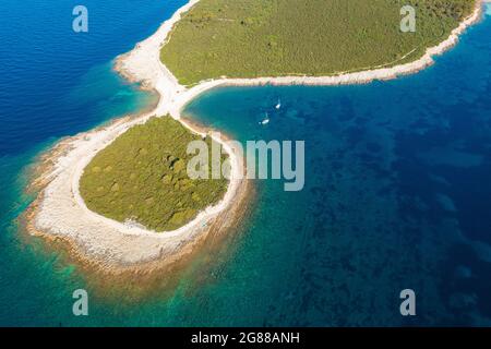 Costa rocciosa con pini su Dugi Otok, Croazia Foto Stock