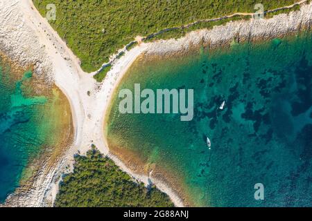 Costa rocciosa con pini su Dugi Otok, Croazia Foto Stock