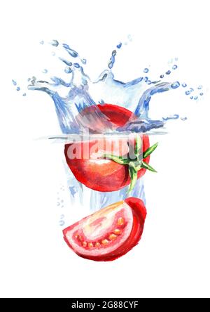 Pomodori freschi che cadono in acqua isolati su sfondo bianco. Illustrazione disegnata a mano con acquerello Foto Stock