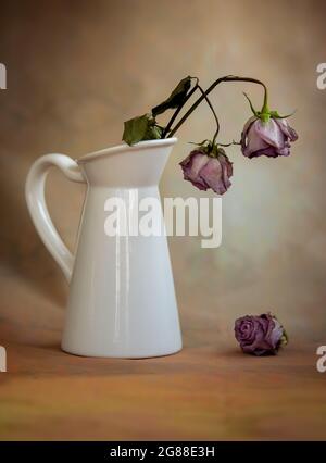 Fiori di rosa appassiti asciutti su un vaso bianco e vintage sfondo Foto Stock