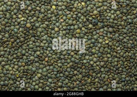 Lenticchie verdi francesi (le puy lenticchie verdi DOP, AOC) (Lens esculenta puyensis ) top view macro dettaglio sfondo primo piano grezzo non fatto Foto Stock