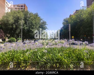 Giardino con fiori in una strada nella città di Madrid, in Spagna. Europa. Fotografia orizzontale. Foto Stock