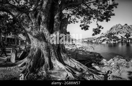 Hampi, Karnataka, India - 10 gennaio 2020 : persone che si bagnano e si preparano sulle rive del fiume Tungabhadra nella città di Hampi. Foto Stock