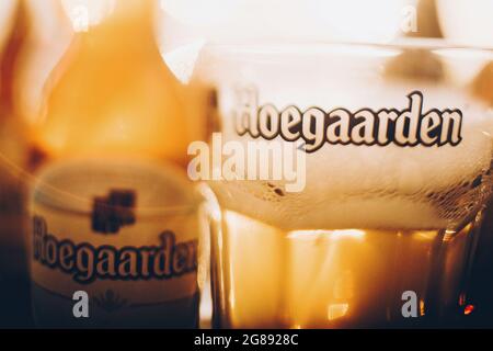 Lviv, Ucraina - 1 dicembre 2017: Bottiglia di birra Hoegaarden e vetro con schiuma in luce soleggiata sul piano di appoggio primo piano. Messa a fuoco selettiva morbida. Hoegaarden b Foto Stock