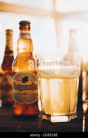 Lviv, Ucraina - 1 dicembre 2017: Bottiglia e bicchiere di birra Hoegaarden con schiuma in luce solare sullo sfondo delle birre Leffe e Grimbergen. Messa a fuoco morbida. H Foto Stock
