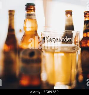 Lviv, Ucraina - 1 dicembre 2017: Bottiglia e bicchiere di birra Hoegaarden con schiuma in luce solare sullo sfondo delle birre Leffe e Grimbergen. Messa a fuoco morbida. H Foto Stock