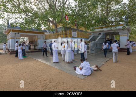 ANURADHAPURA, SRI LANKA - 06 FEBBRAIO 2020: Pellegrini al sacro albero Bodhi Foto Stock