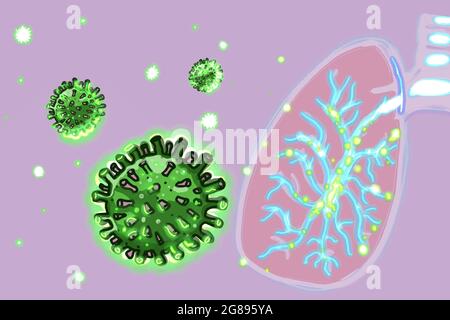 mers cov coronavirus fondo e polmoni Foto Stock