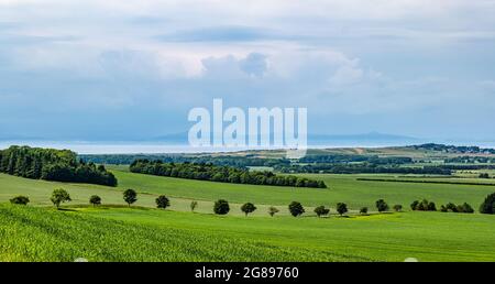 Fila di alberi nel paesaggio agricolo rurale con campi coltivati e vista frizzante di Lomond Hills attraverso il Firth of Forth, East Lothian, Scozia, Regno Unito Foto Stock