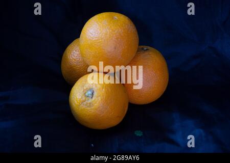 Citrus × sinensis, noto anche come Citrus sinensis, comprende le arance dolci comunemente coltivate Foto Stock