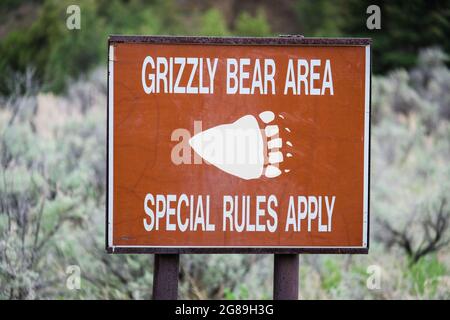 Cartello segnaletico Grizzly Bear, Shoshone National Forest, Wyoming, USA, appena fuori dal parco nazionale di Yellowstone. Foto Stock