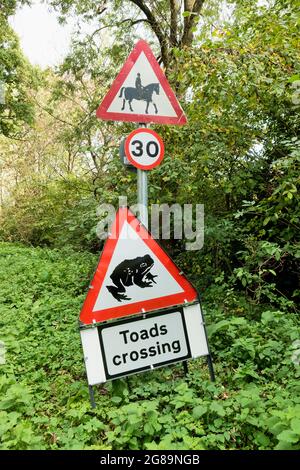 Warminster, Wiltshire, UK - Ottobre 13 2020: Un cartello di passaggio dei Toads per gli automobilisti a Smallbrook Road, Warminster, Wiltshire, Inghilterra, UK Foto Stock