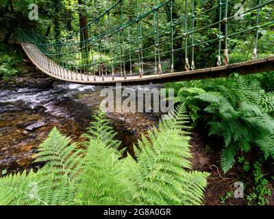 Ponte sospeso sul fiume Lynher, Stara Woodland, Cornovaglia, Regno Unito Foto Stock