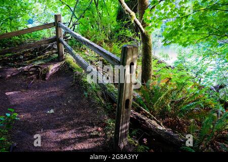 Spalato-rail recinto e il Pacifico nord-ovest verde al campeggio Oxbow Regional Park, Gresham, Oregon, USA. Foto Stock