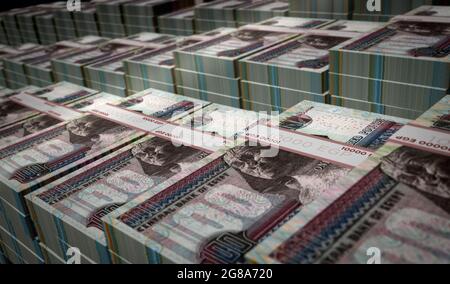 Egyptian Pound Money Pack illustrazione 3d. Pile di pacchetti di banconote EGP. Concetto di finanza, contanti, crisi economica, successo di affari, recessione, banca, ta Foto Stock