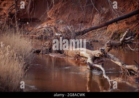 Down Country Roads, Custer County, OK. Foto Stock
