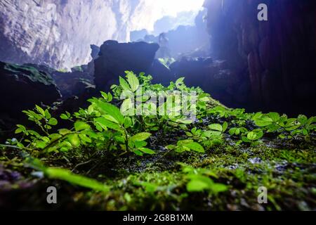 Bella grotta con luce nel distretto di Moc Chau nord del Vietnam Foto Stock