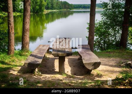 Rustico tavolo e panchine in legno sotto alberi ombreggiati sulle rive di un tranquillo fiume o lago con uccelli acquatici nuoto e riflesso del circondodi Foto Stock