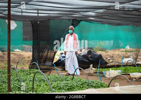 Agricoltore con maschera medica all'interno della serra o polyhouse dopo coronavirus o covid-19 pandemic lockdown - concetto di perdita di business e. Foto Stock