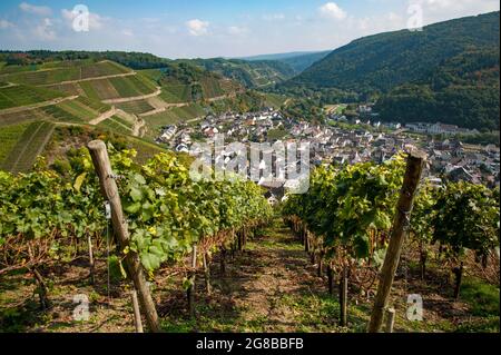 Valle dell'AHR, Renania Palatinato, Germania: Villaggio di Dernau visto dal 'Rotweinwanderweg', il percorso escursionistico del vino Rosso nella Valle dell'Ahr in Germania Foto Stock