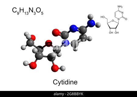 Formula chimica, formula scheletrica e modello 3D a sfera e bastone di citidina nucleosidica, fondo bianco Foto Stock