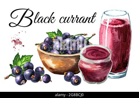 Carta di ribes nero con frutti di bosco, marmellata e succo di frutta. Illustrazione di acquerello disegnata a mano isolata su sfondo bianco Foto Stock