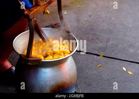 Boiling Cocoons Silkworm Foto Stock