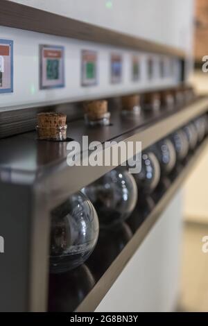 Vista di un ripiano in legno con diverse vecchie bottiglie di pozione con tappo in sughero, utilizzato per posizionare soluzioni chimiche e per altri usi nell'antichità... Foto Stock
