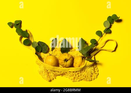 Tre mele cotogne con foglie naturali e rami in borsa gialla stringa. Disposizione piatta su carta gialla. Frutta e foglie hanno imper naturale Foto Stock