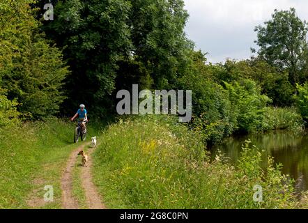 Donna che cita lungo l'alzaia del canale di Leeds & Liverpool vicino a East Marton, North Yorkshire, Inghilterra Regno Unito Foto Stock