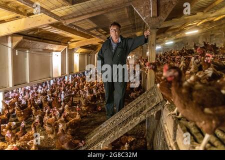 L'agricoltore Douglas Wantall, nella sua fattoria nel Kent, sta adottando un'azione legale contro il venerdì sostenendo che è colpa di un focolaio di salmonella sulle sue aziende agricole Foto Stock